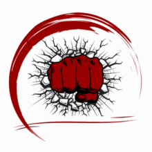 Elite Kampfsportcenter